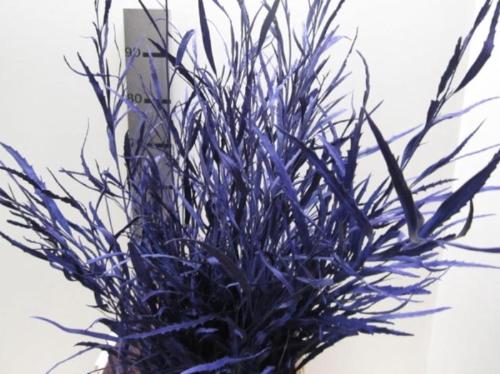 Decoratiegroen kleurbehandeld H%