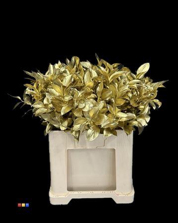 Ruscus kleurbehandeld H%