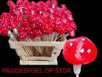 cd0fa39e-f7a5-4db9-be5b-72ff0e2441fd.jpg