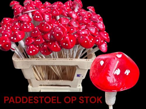 Huis en tuindecoratie overig H%
