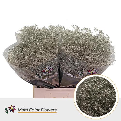 Gypsophila overig kleurbehandeld H%