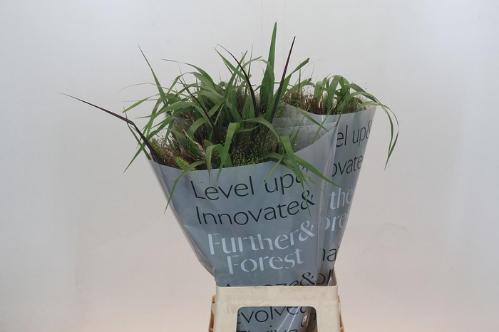 Siergrassen gemengd in Fust