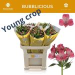 cdb98a06-76f1-4b1d-8fac-261a3771a520.jpg