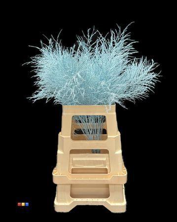 Decoratiegroen kleurbehandeld per bos H%