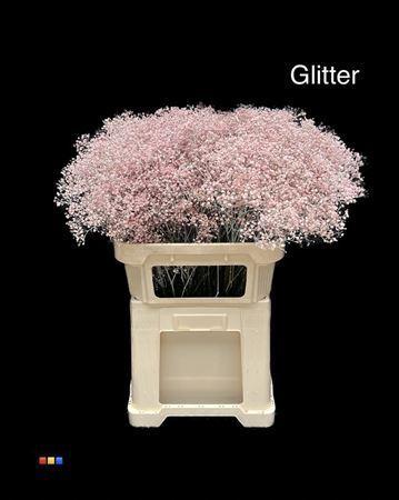Gypsophila overig kleurbehandeld H%