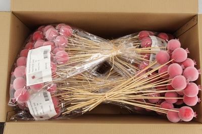 Huis en tuindecoratie overig H%