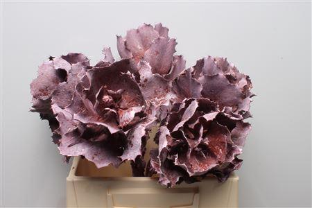 Huis en tuindecoratie overig 6%