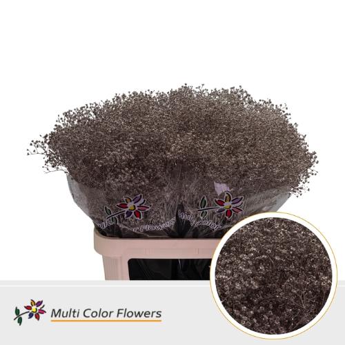 Gypsophila overig kleurbehandeld H%