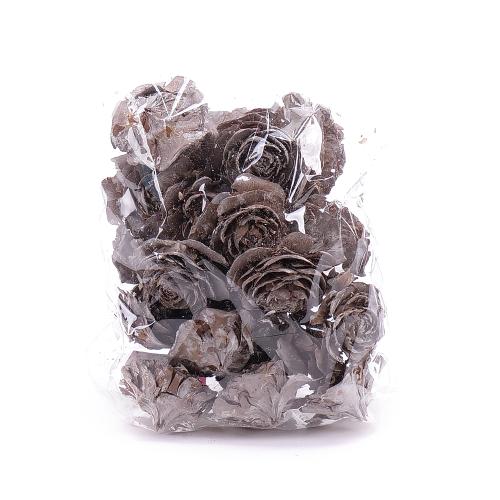 Cedar rose 5-7cm bleach, vintage balenie