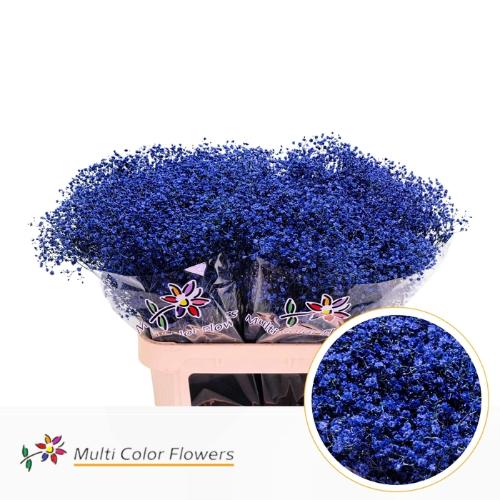 Gypsophila overig kleurbehandeld H%