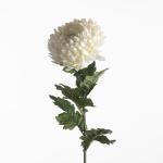 cfa60983-7b89-40bf-84b9-8c6dc801a977.jpg
