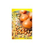 cibula-sadz-sturon-300g.jpg