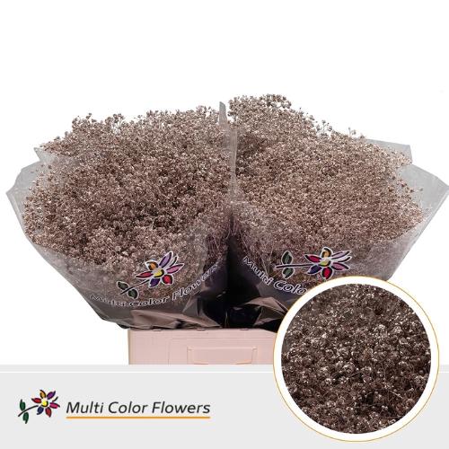 Gypsophila overig kleurbehandeld H%