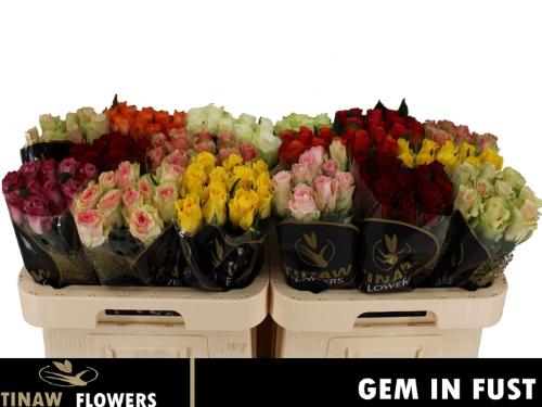 Rosa grootbloemig gemengd in fust