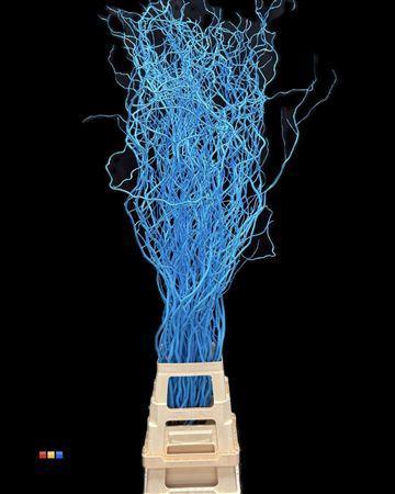 Salix kleurbehandeld H%