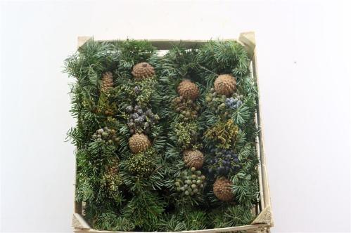 Siervruchten per stuk Sierfruit krans H%