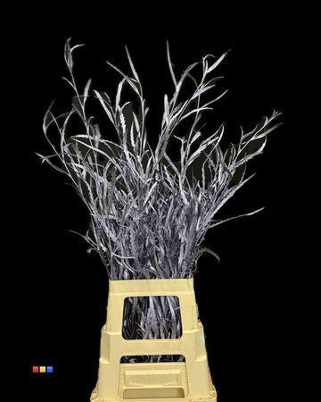 Decoratiegroen kleurbehandeld per bos H%