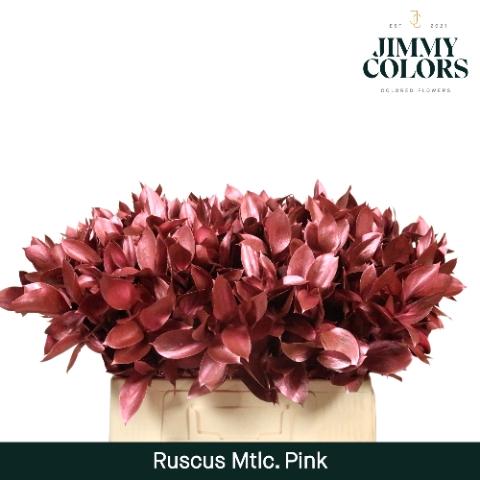 Ruscus kleurbehandeld H%