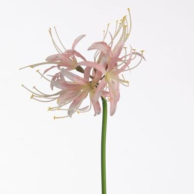 Kunstbloem H%