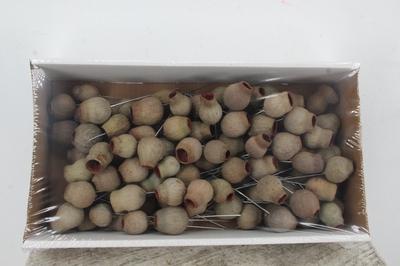 Huis en tuindecoratie overig H%