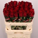 d1d1a183-6d9f-4718-ad8d-40ab0930eed9.jpg