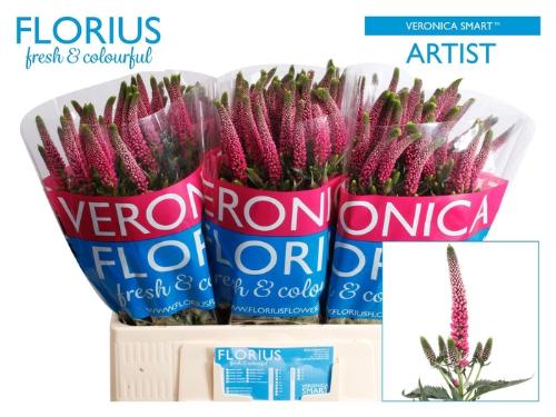 Veronica Smart Artist