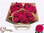 d23d58d4-bb0c-4977-b1ec-0bdfcf3d72da.jpg