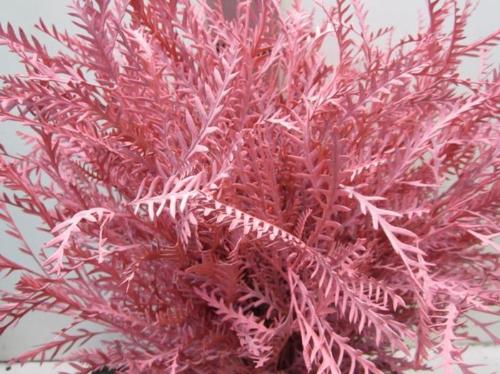 Decoratiegroen kleurbehandeld H%