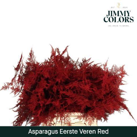 Asparagus overig kleurbehandeld H%