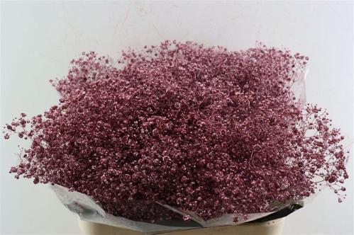 Gypsophila overig kleurbehandeld H%