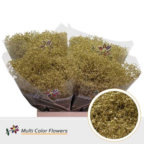 Gypsophila overig kleurbehandeld H%