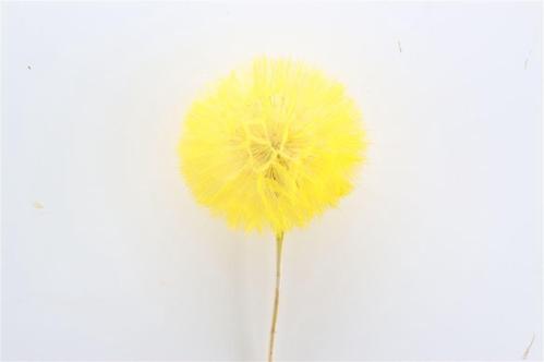 Decoratiegroen kleurbehandeld per bos H%