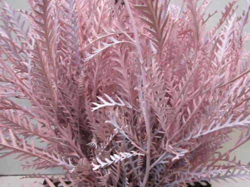 Decoratiegroen kleurbehandeld H%