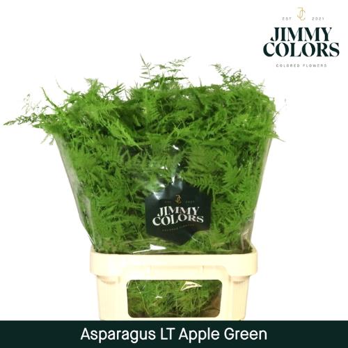 Asparagus overig kleurbehandeld H%