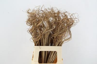 Huis en tuindecoratie overig H%