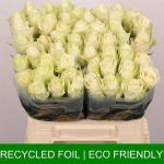 d3fefc99-565c-44be-85c8-96c25f169099.jpg