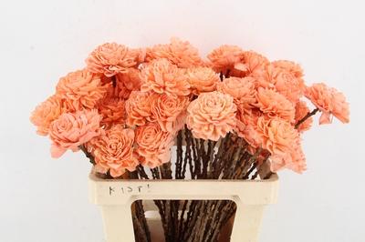 Huis en tuindecoratie overig H%