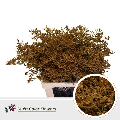 Limonium overig kleurbehandeld H%