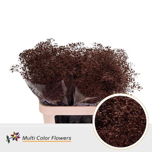 Gypsophila overig kleurbehandeld H%