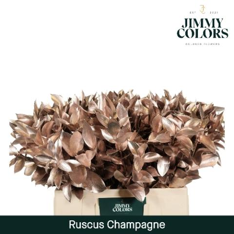 Ruscus kleurbehandeld H%