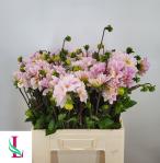 d5fa3540-7c3d-4162-ae14-7116ce14600a.jpg