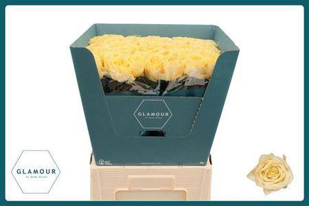 Rosa grootbloemig Buttercup