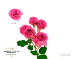 d6519f6b-45ee-4b66-ae37-67dd8e814d5f.jpg
