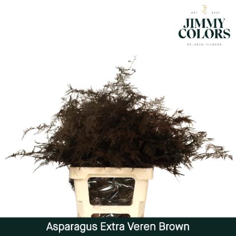 Asparagus overig kleurbehandeld H%