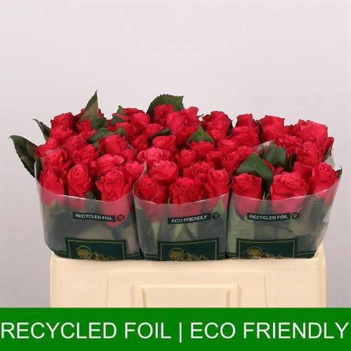 Rosa grootbloemig Tacazzi+