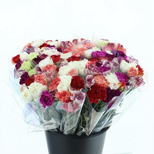 Dianthus standaard gemengd in bos