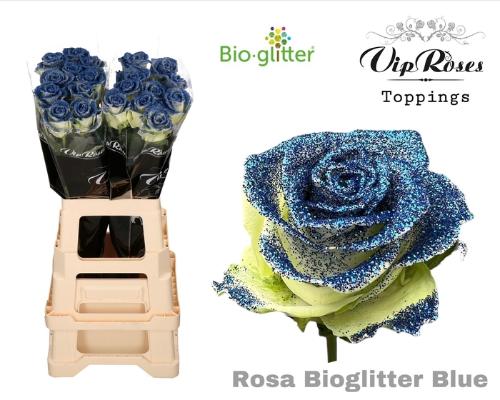 Rosa grootbloemig kleurbehandeld H%