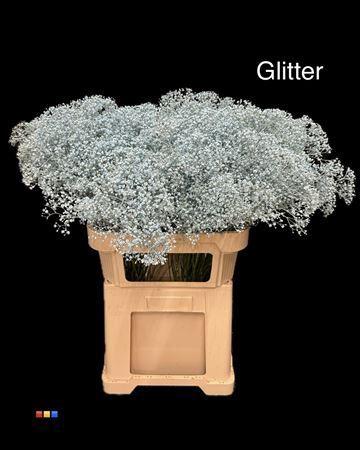 Gypsophila overig kleurbehandeld H%