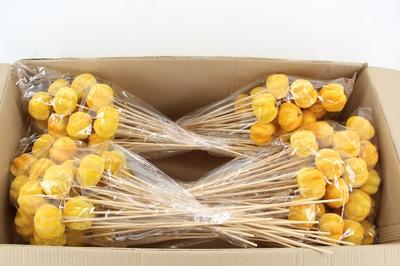 Huis en tuindecoratie overig H%