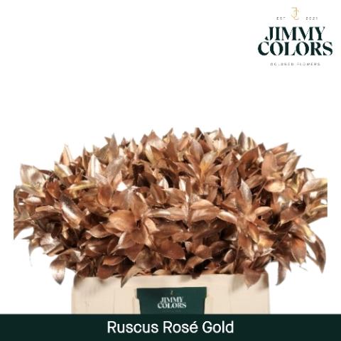 Ruscus kleurbehandeld H%